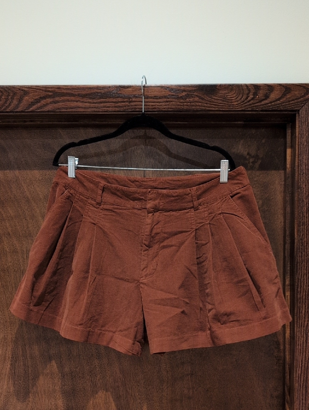 Anthropologie Pilcro High-Waist Pleated Shorts in Rust